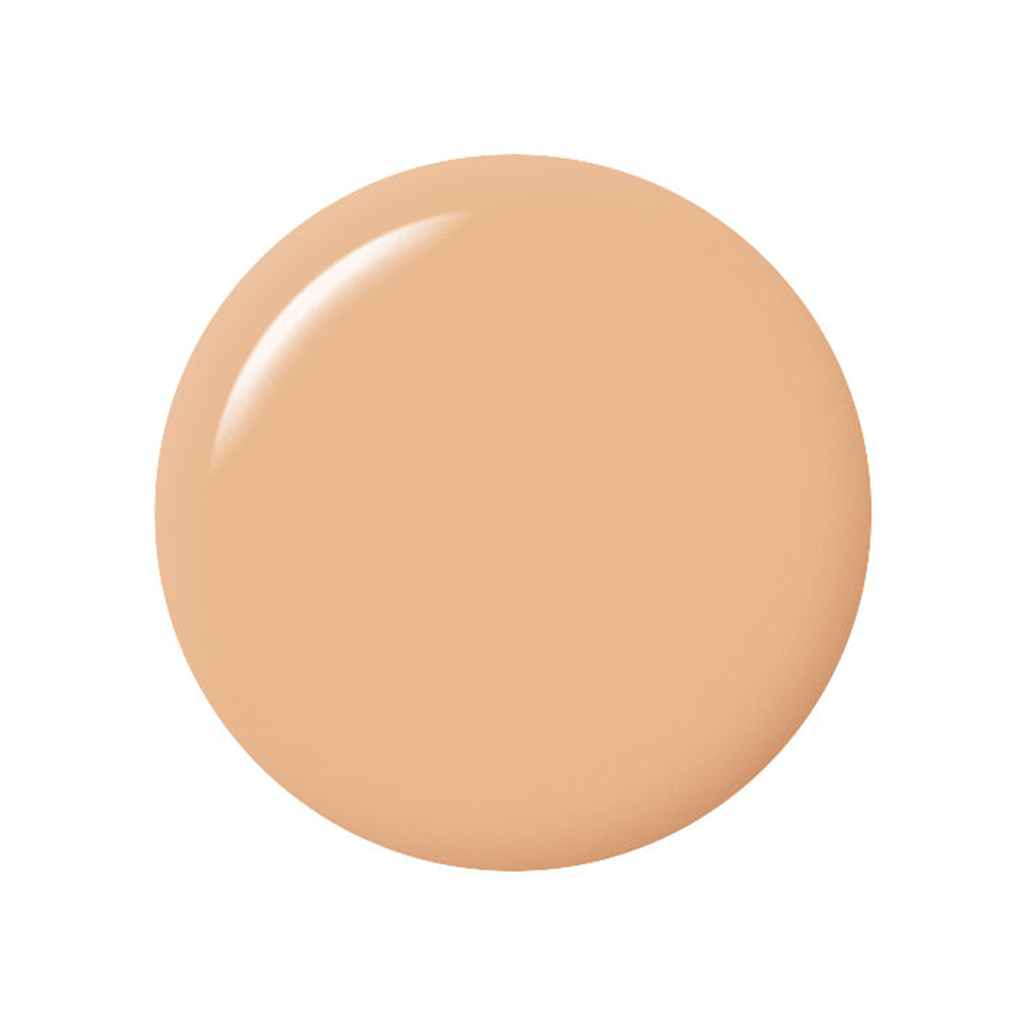 ANESSA All in One Beauty Foundation