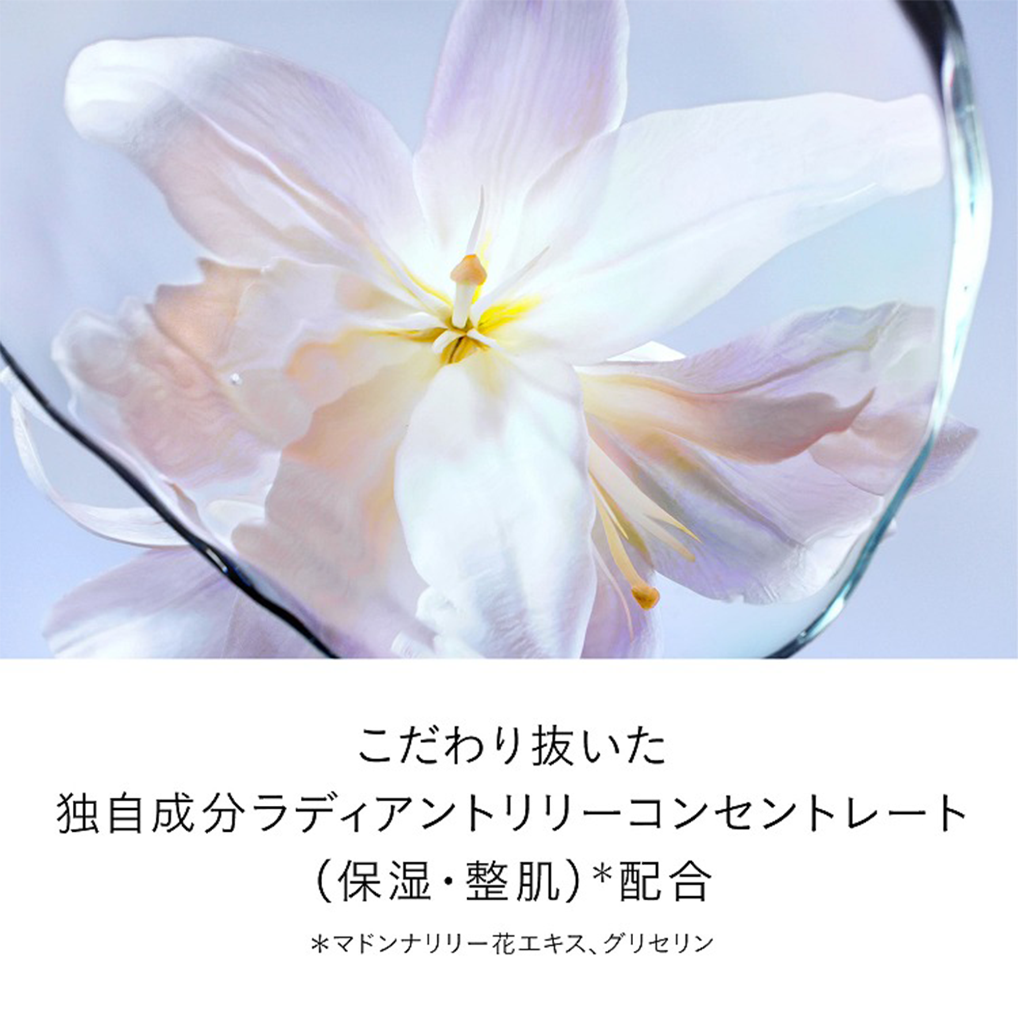 Cle de Peau Beaute The Serum