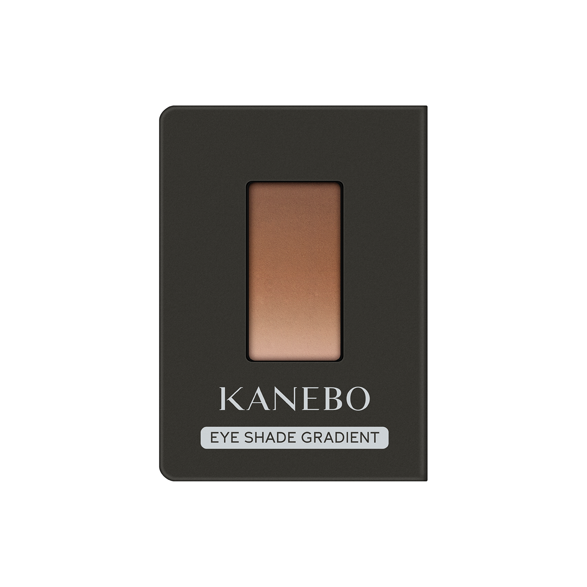 Kanebo Eye Shade Gradient