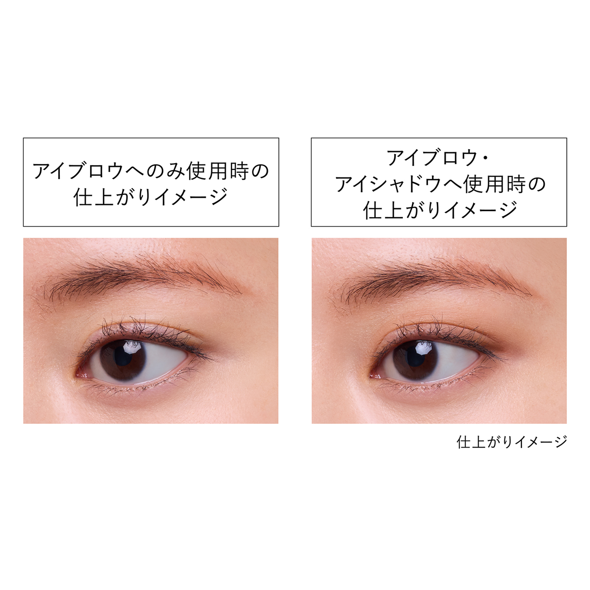 Kanebo Eye Shade Gradient