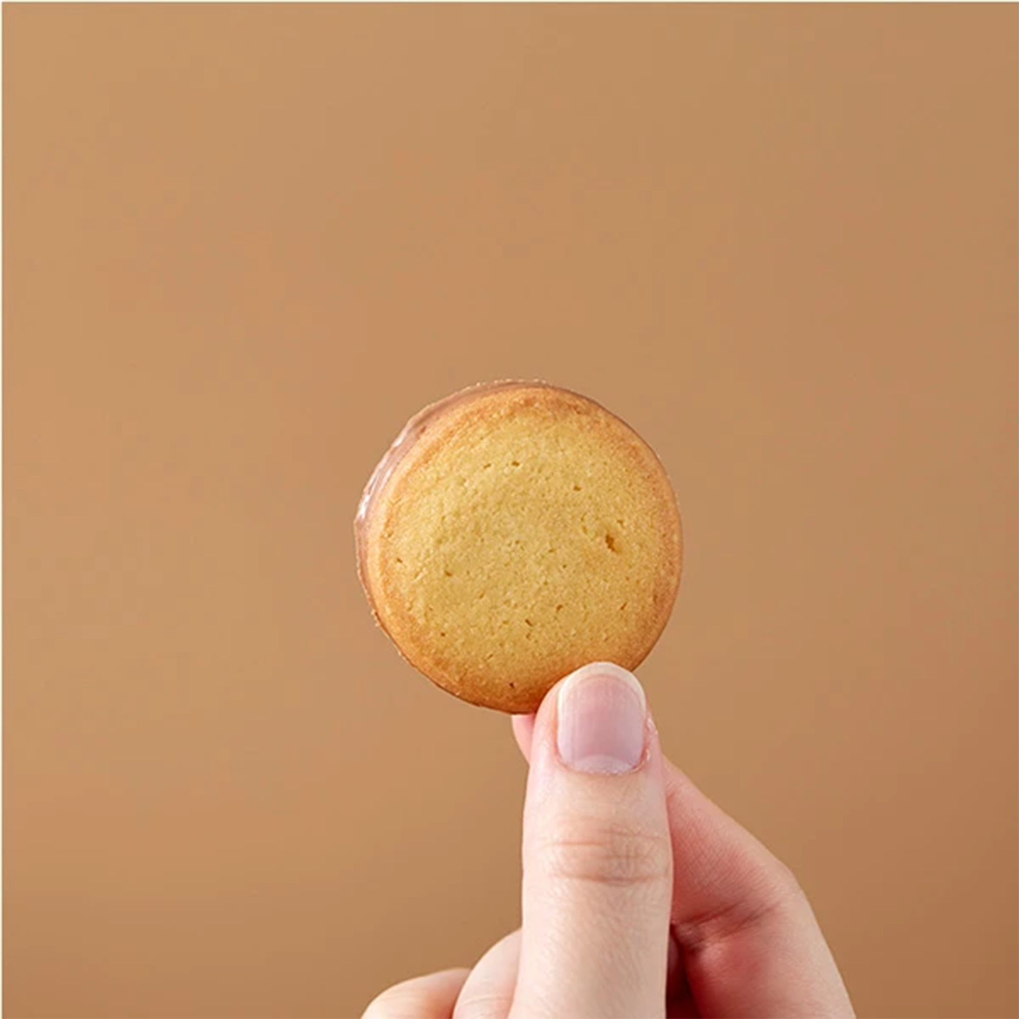 Yoku Moku Milk Chocolate Cookies