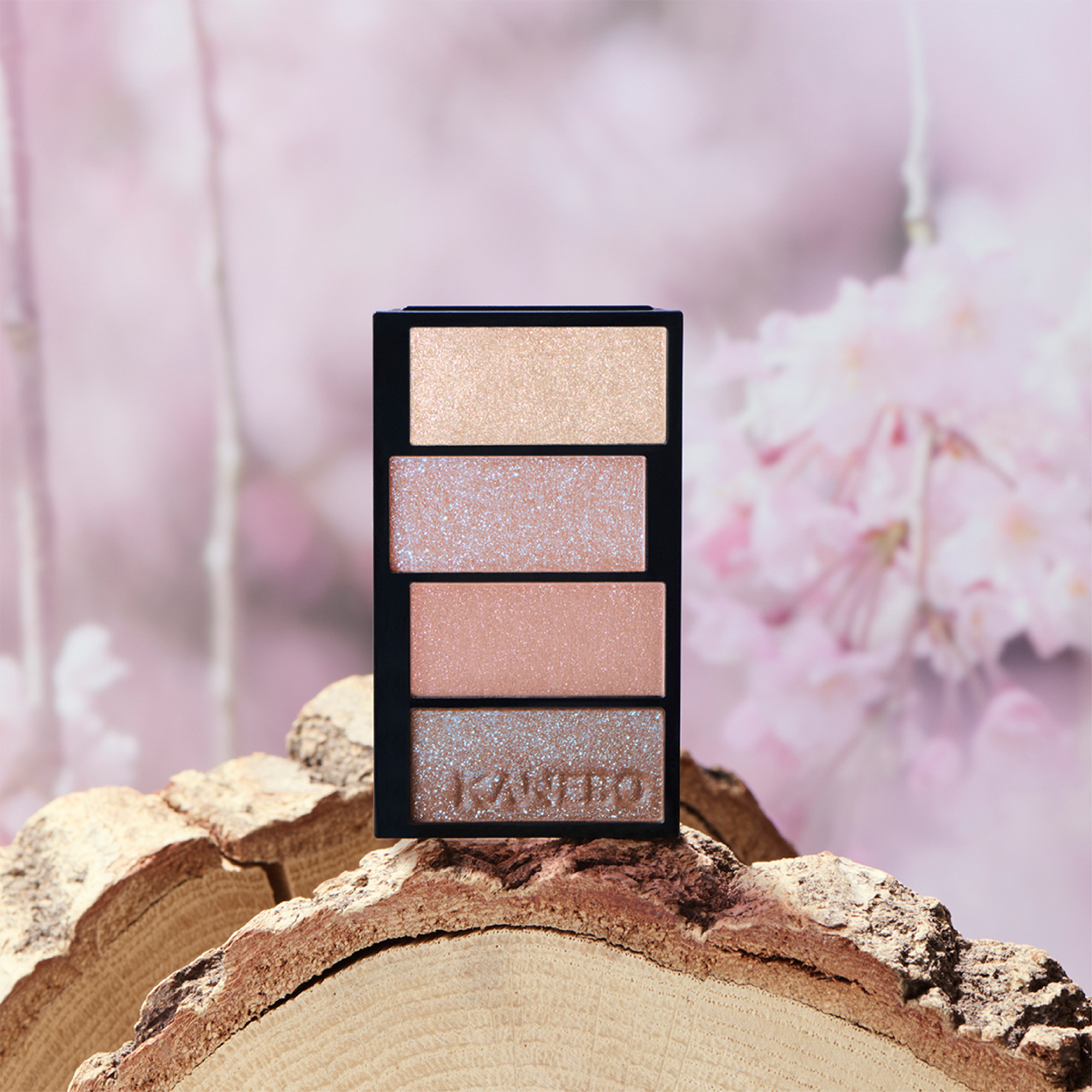 Kanebo Colored Shadow