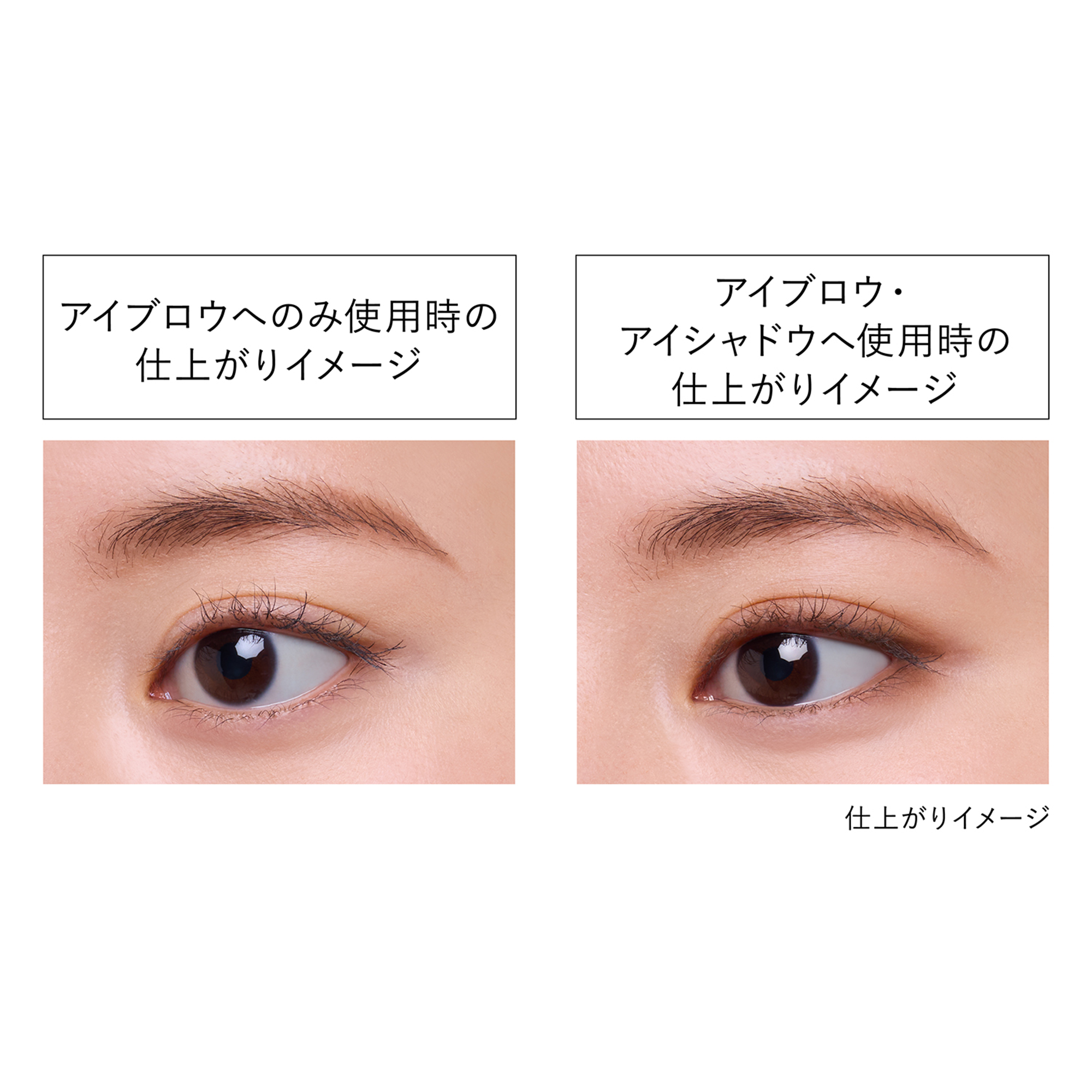 Kanebo Eye Shade Gradient